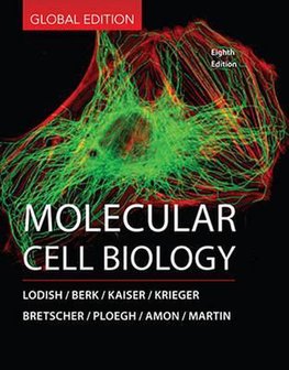 Molecular Cell Biology | 9781464187445