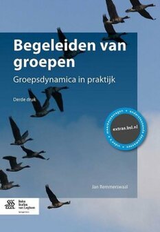 Begeleiden van groepen | 9789036807241