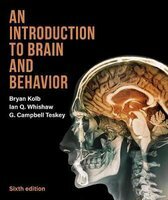 An Introduction to Brain and Behavior | 9781319243562
