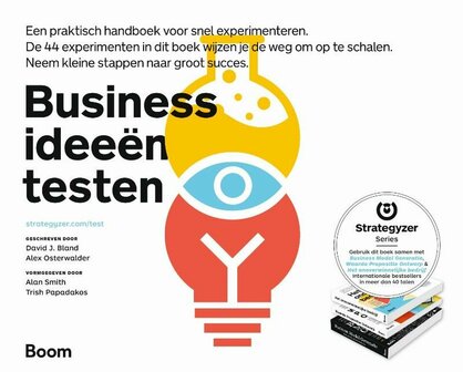 Businessidee&euml;n testen | 9789462763838