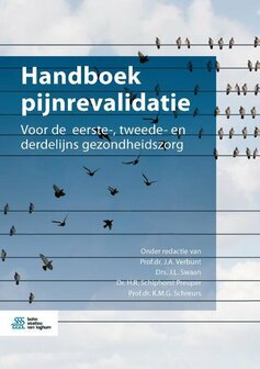 Handboek pijnrevalidatie | 9789036822299