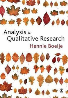 Analysis in Qualitative Research | 9781847870070