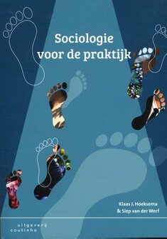 Sociologie voor de praktijk | 9789046905203