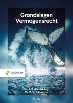 Grondslagen Vermogensrecht | 9789001036843