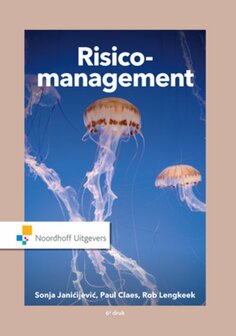 Risicomanagement | 9789001866648