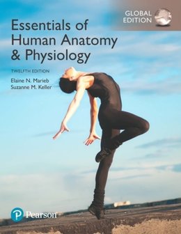 9781292216119 | Essentials of Human Anatomy &amp; Physiology, Global Edition